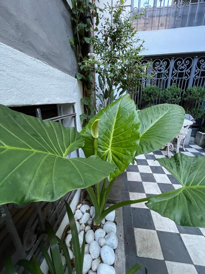 Le Petit Palais Bed and Breakfast Μπουένος Άιρες Εξωτερικό φωτογραφία