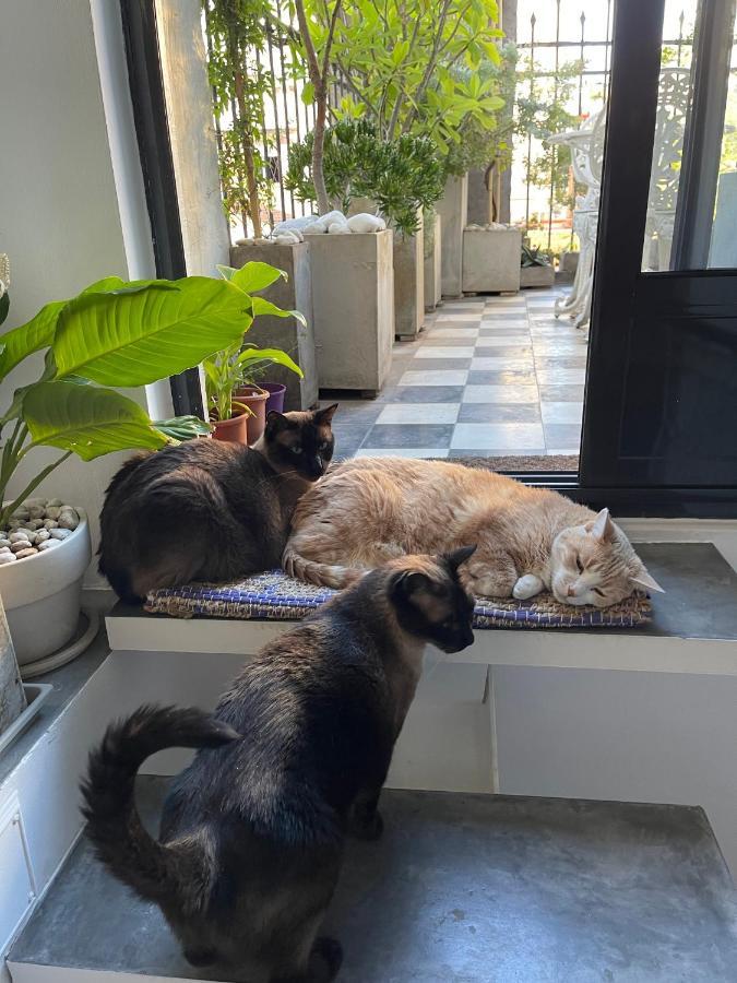 Le Petit Palais Bed and Breakfast Μπουένος Άιρες Εξωτερικό φωτογραφία